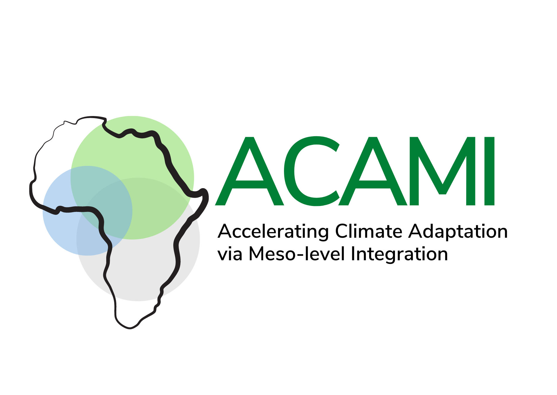 ACAMI Logo